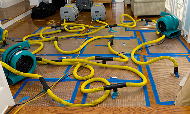Professional Basement Flood Cleanup technician working in Tenino, WA